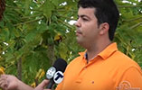Assista a reportagem da TV Tribuna do ES em nossa plantação