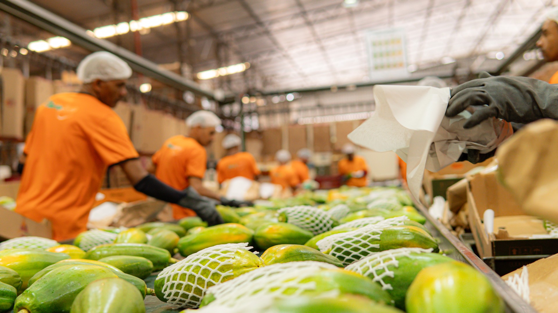 Nortefrut Importacao e Exportacao Ltda